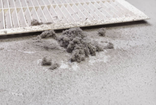 Best Affordable HVAC Duct Cleaning  in Cottage City, MD